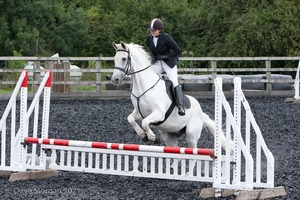 Class 5 - Fences not above 2'6